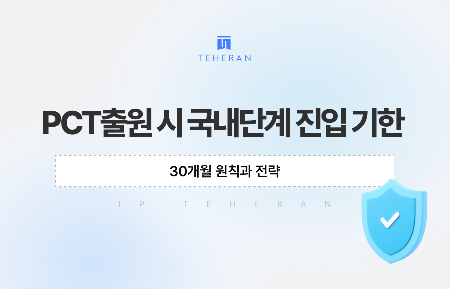 PCT출원 시 국내단계 진입 기한, 30개월 원칙과 전략